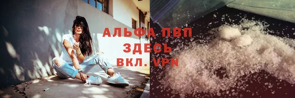 спиды Абаза