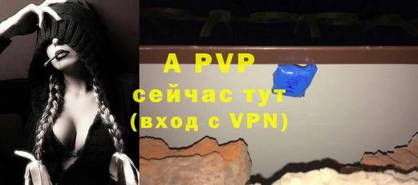 спиды Абаза